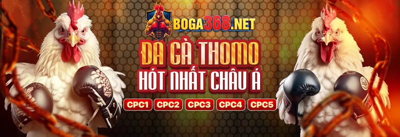 Hình ảnh đá gà trực tuyến sôi động tại 88bet